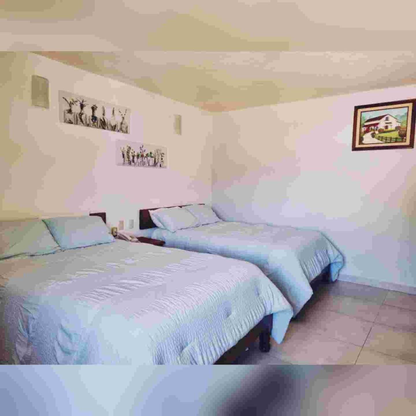 Hotel Jardines Del Carmen San Cristóbal de Las Casas Extérieur photo